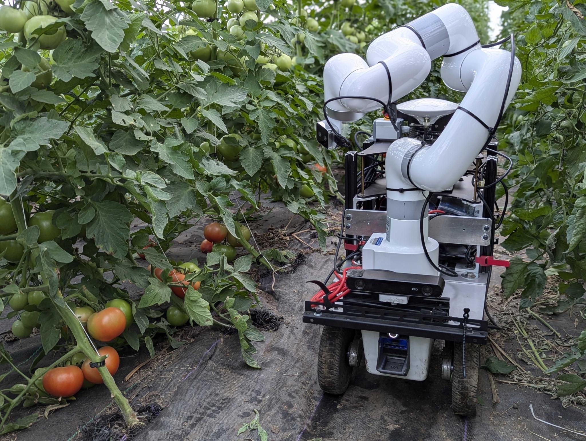 Active Semantic Mapping with Mobile Manipulator in Horticultural Environments